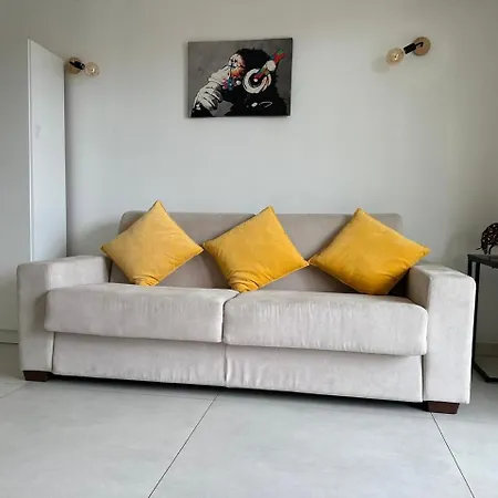 Super Apartment, Parking, Terrace, Lift, Palm Beach, Cannes Exterior photo